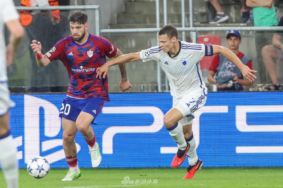 雄鹿的对决 雄鹿的对决