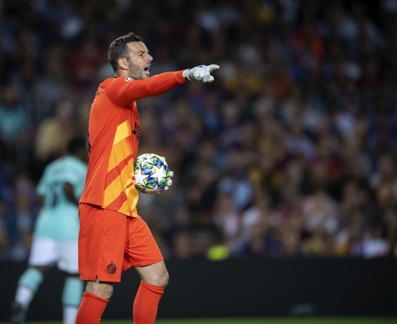 在这篇文章 在这篇文章