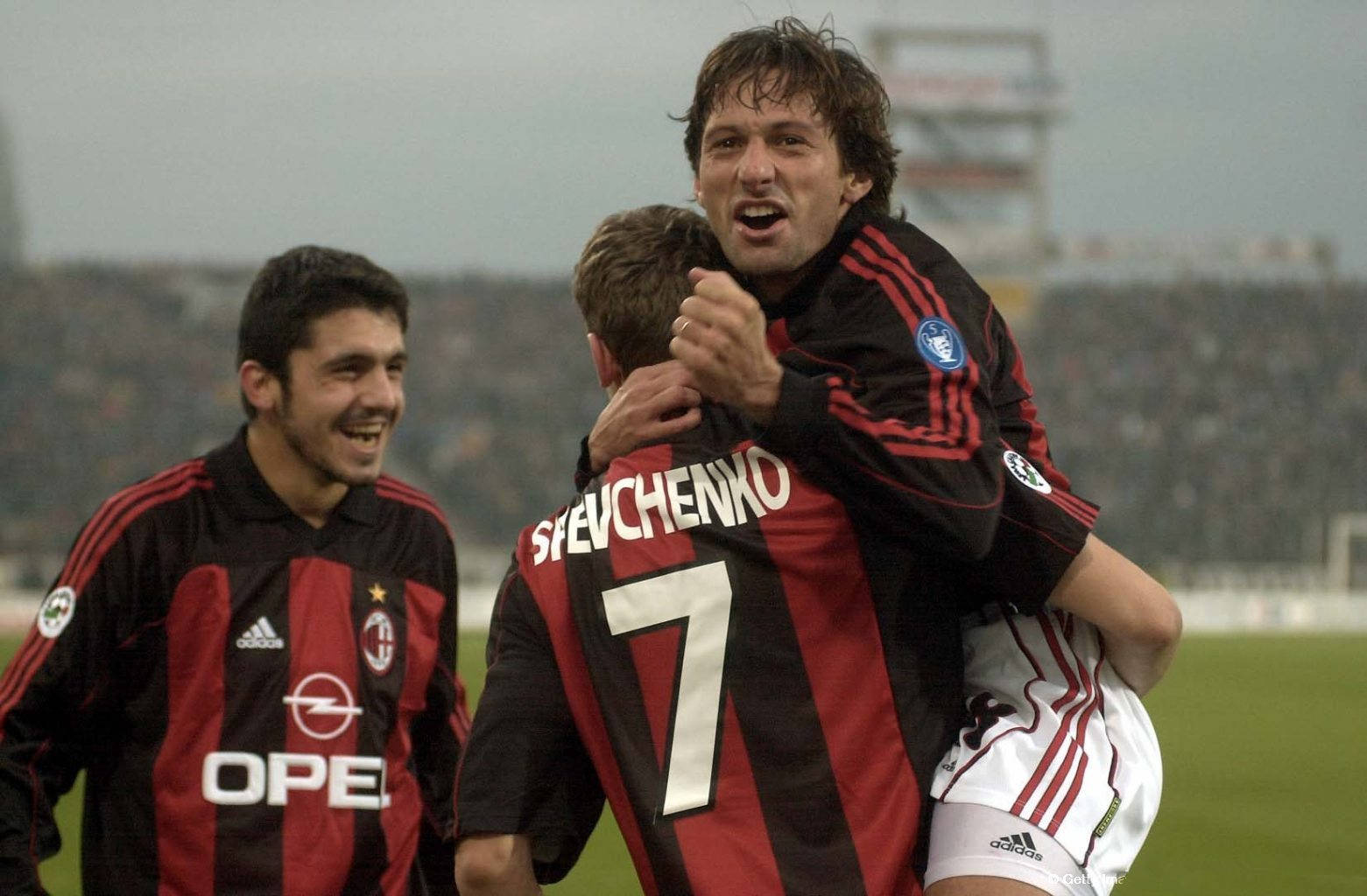 是一个新的 是一个新的